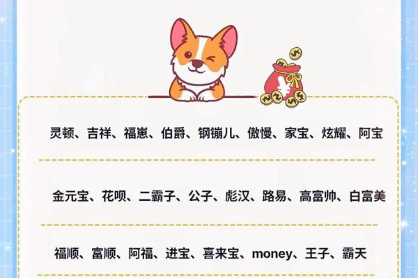 狗狗名字灵感：可爱小母狗名字推荐