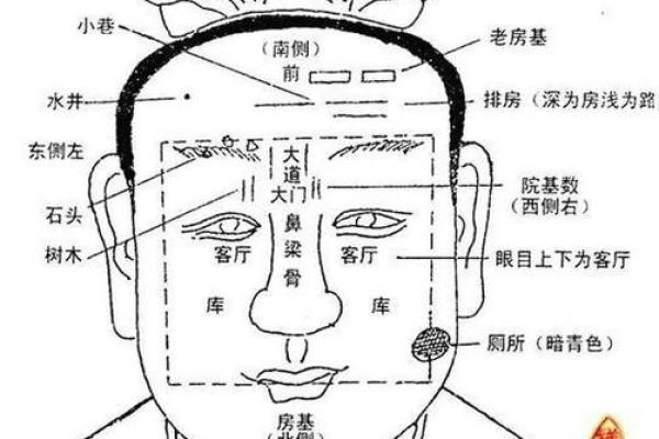 乱桃花面相揭秘：探寻男人情感纠葛的面相特征