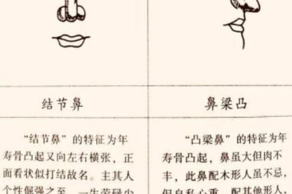 鼻尖突显面相：洞察命运之窗的奥秘