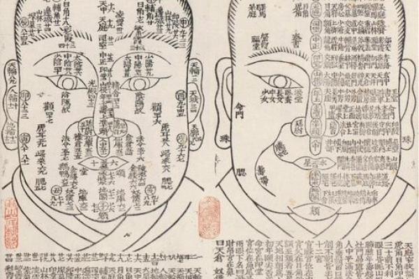 面相暗藏杀机：揭秘那些看似坏人实则深藏不露的面相特征