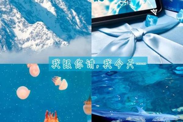 财富号码精选，地支之力助你一臂之力