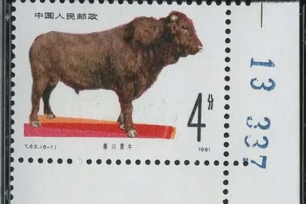 水牛的多样化名字：从文化到地域的独特命名习惯