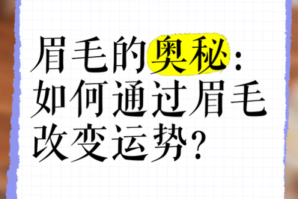 泽润人生，王泽之名：解码姓名运势之奥秘