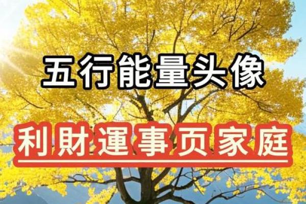 地支风水宝典，助你家庭事业双丰收