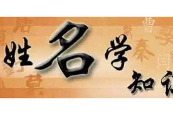 陈鹏至：翱翔天际，鹏程万里——揭秘姓名中的运势密码