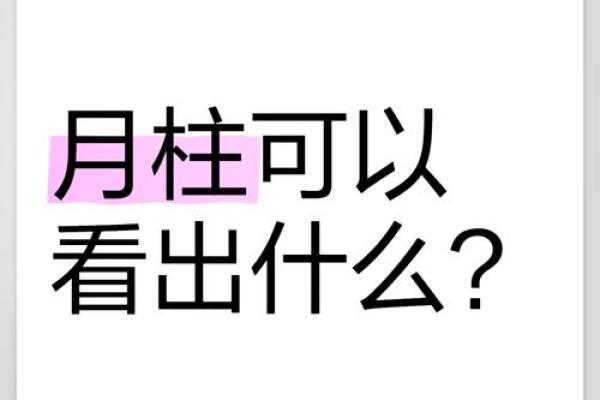 甲午月柱运势解析：你的运势密码在这里！
