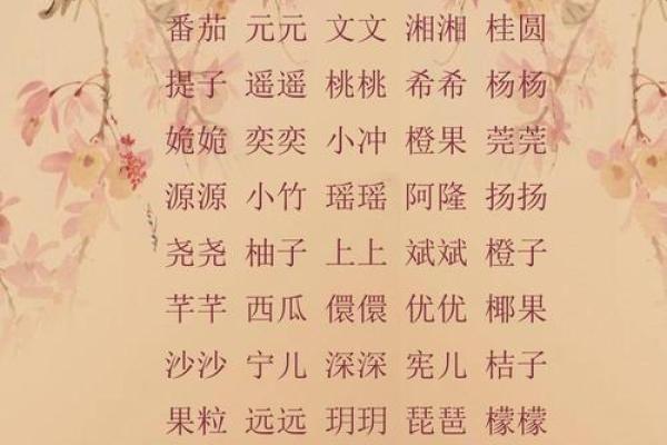 昊字融入鸡宝宝名字的创意选择