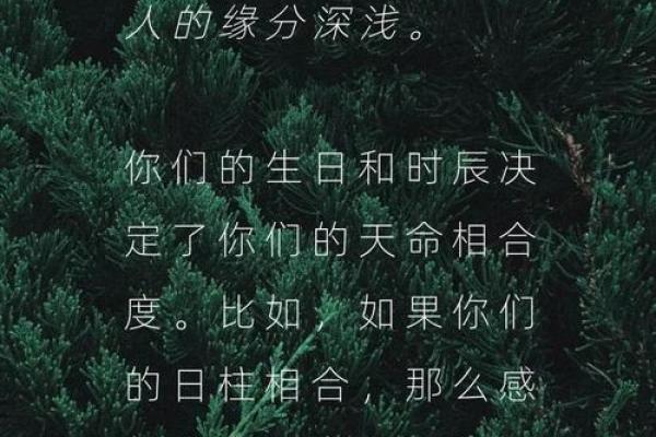 生辰八字配对：你们的缘分如何？