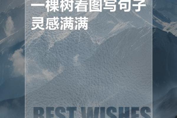 从根到枝：树木主题公司名称的创意灵感