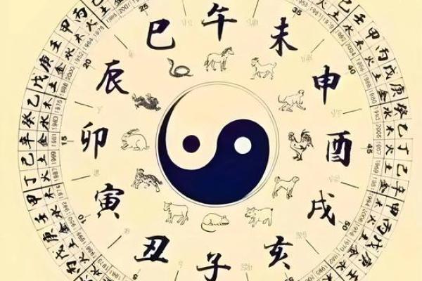 太阳之光，八字人生，揭秘真太阳时生辰八字之谜