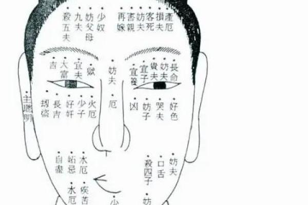 神秘右城：揭秘胳膊痣的惊人命运！