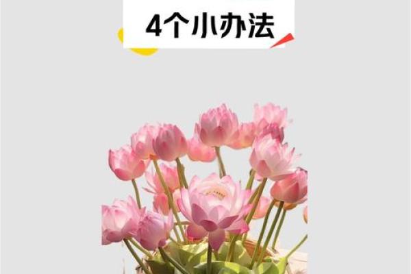 火爆旺铺风水布局，轻松财运亨通