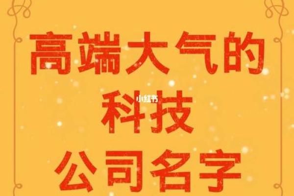 为公司起名：借动物象征力量与智慧