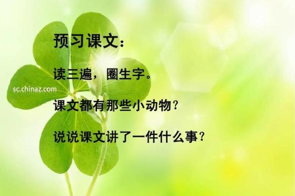 为公司起名：借动物象征力量与智慧