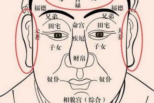 面相颧骨有力，运势亨通，揭秘成功人士的秘密武器！