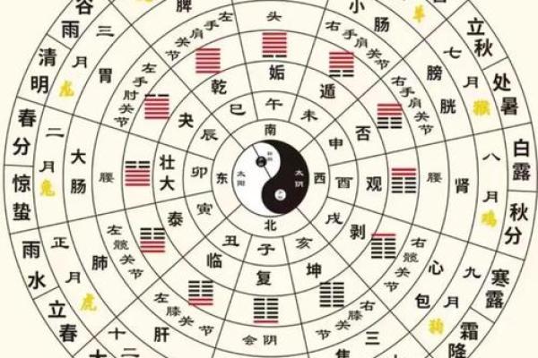 地支壬水相遇，探寻五行相生相克的神秘力量