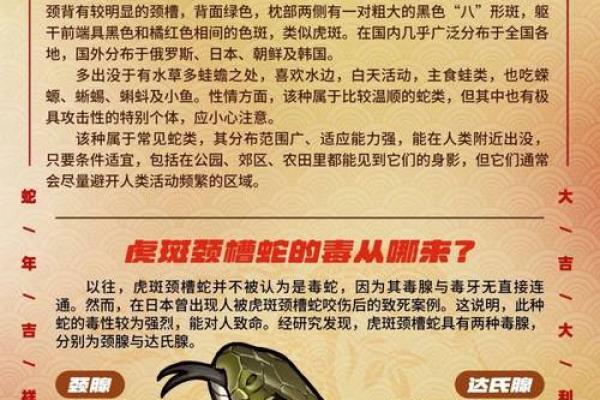 蛇业公司命名策略与创意探索