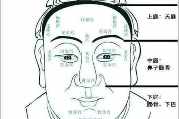 额头低，运势起伏：揭秘低额头面相背后的命运密码