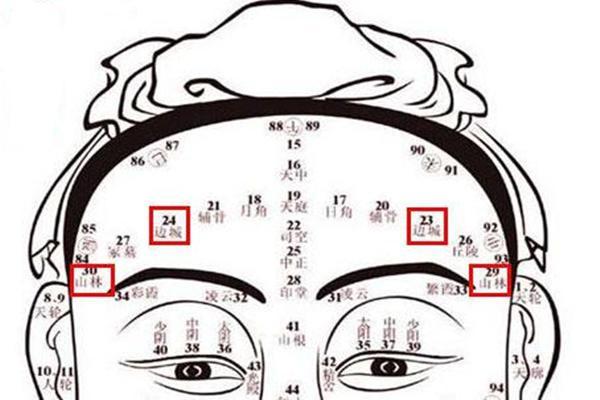 额头低，运势起伏：揭秘低额头面相背后的命运密码
