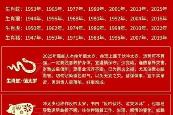 命理大师揭秘：如何通过风水改变运势