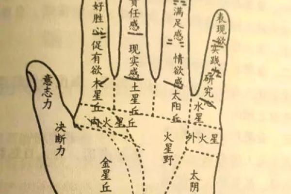 右手心藏秘密，男人魅力指数飙升！