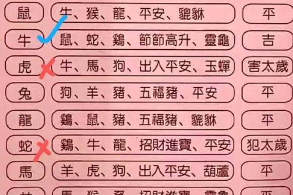 面相十三宫揭秘：财运宫、事业宫、健康宫等十二宫位解析，助你洞悉命运之谜