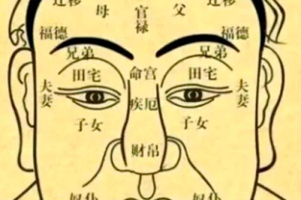 面相十三宫揭秘：财运宫、事业宫、健康宫等十二宫位解析，助你洞悉命运之谜