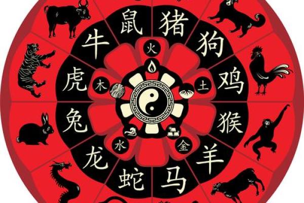 生肖相冲大揭秘：揭秘地支相冲的惊人后果