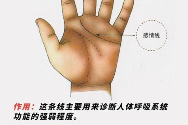 手中藏秘密，纵欲纹揭秘！