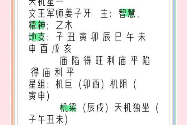 亥地支之谜：探寻古代智慧中的天机奥秘
