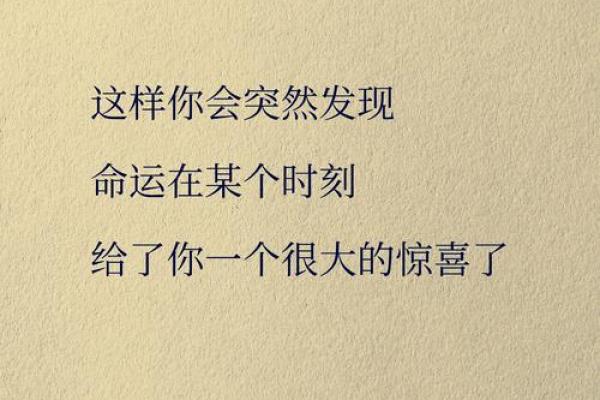 南玄命理绝学：让你一眼看透人生运势