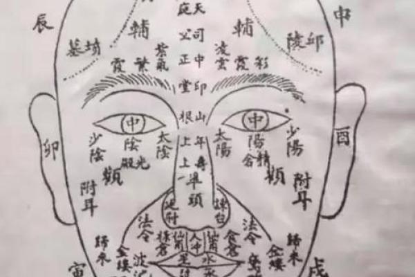 面相揭秘：人中过长如何影响运势与命运