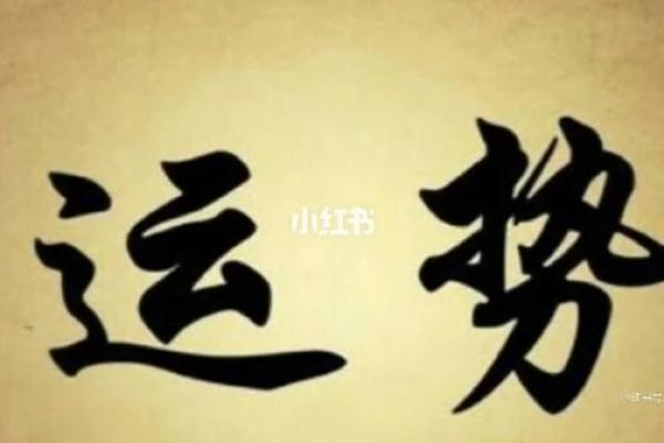 上海最火命理馆：一窥未来，让你的生活焕然一新！