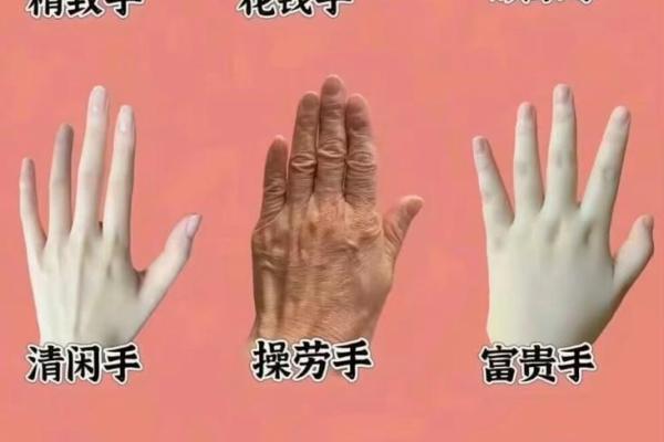手指间的命运：男女手相大揭秘，你了解多少？