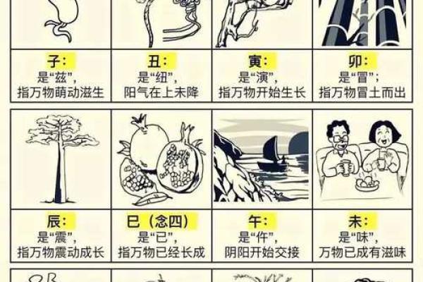 地支合的神奇效应，看看你的生肖运势如何