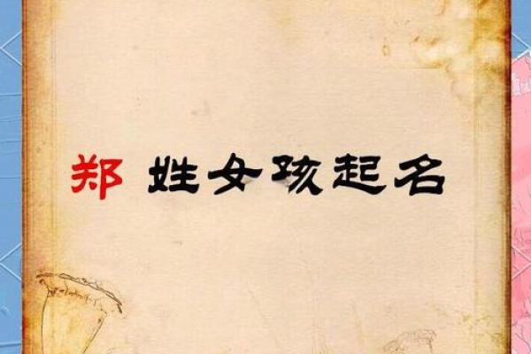 郑氏萌宝取名攻略