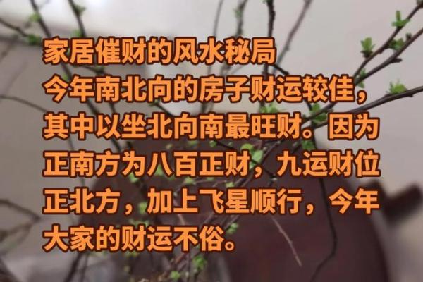 一招解锁财运之门：家居风水布局，让你财源滚滚！