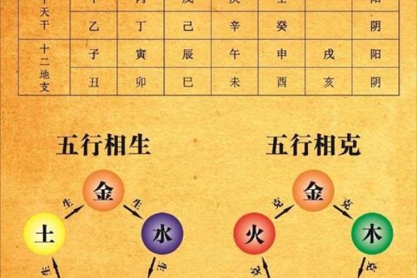 传统文化瑰宝：解读十二地支的神秘魅力