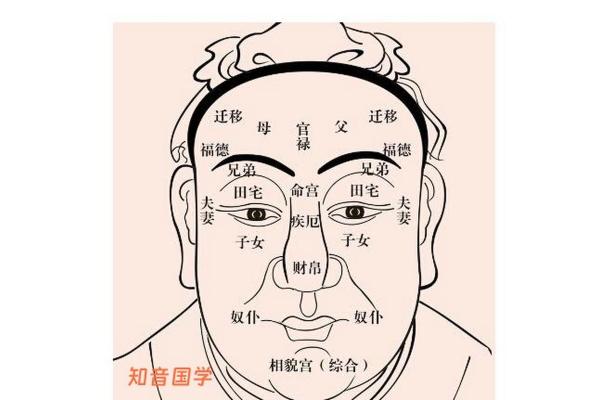 眼如星河，命运窥视——面相之眼暴露的秘密