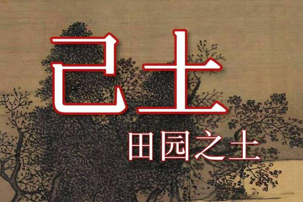 地支土：五行之中，土的温暖与厚重