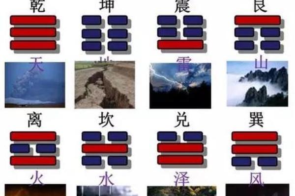 地支土：五行之中，土的温暖与厚重