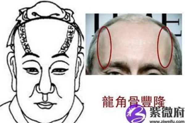 额头骨头凸起的面相解析：揭秘财运与事业发展的秘密