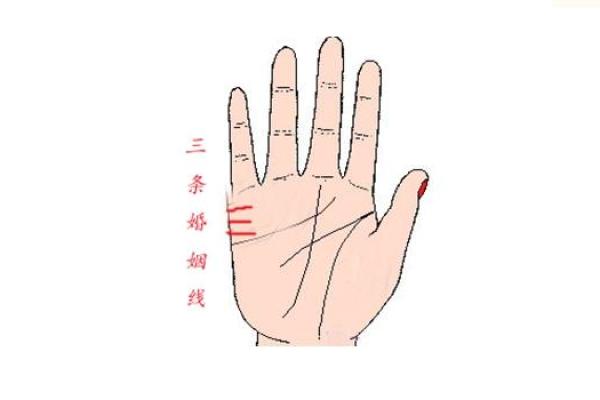 爱情磁场：揭秘犯桃花的手相密码