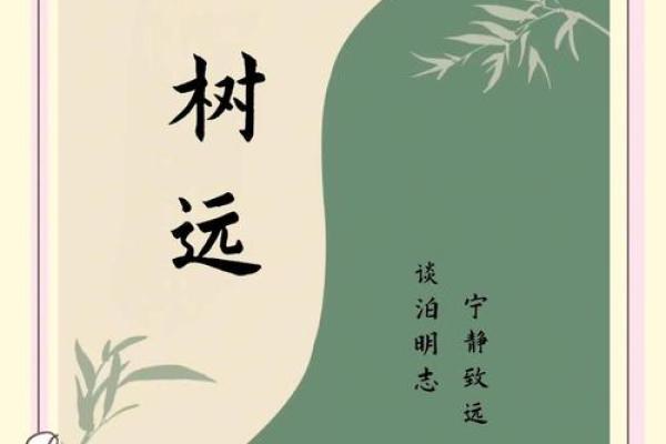 教育公司免费起名指南 创意与实用相结合