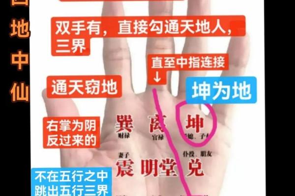 手上乾坤：手相十大秘籍大公开