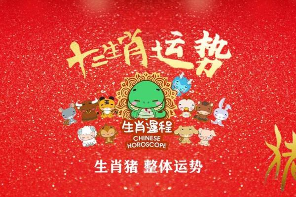 属猪的你，今年运势如何？独家解析来了！