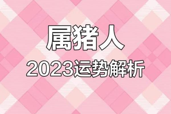 属猪的你，今年运势如何？独家解析来了！