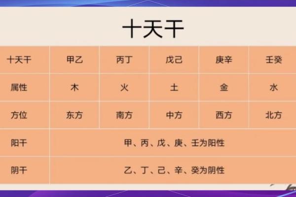 12地支纪年，揭秘千年传统习俗