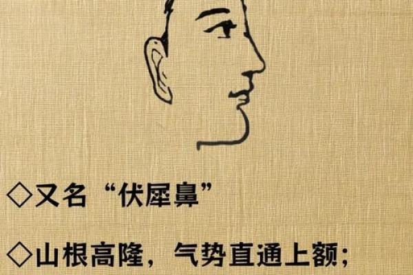 耳垂横纹解密：面相中的财运与运势预示
