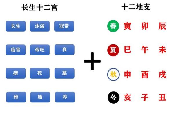 神秘十二宫：龙十二地支的传奇故事